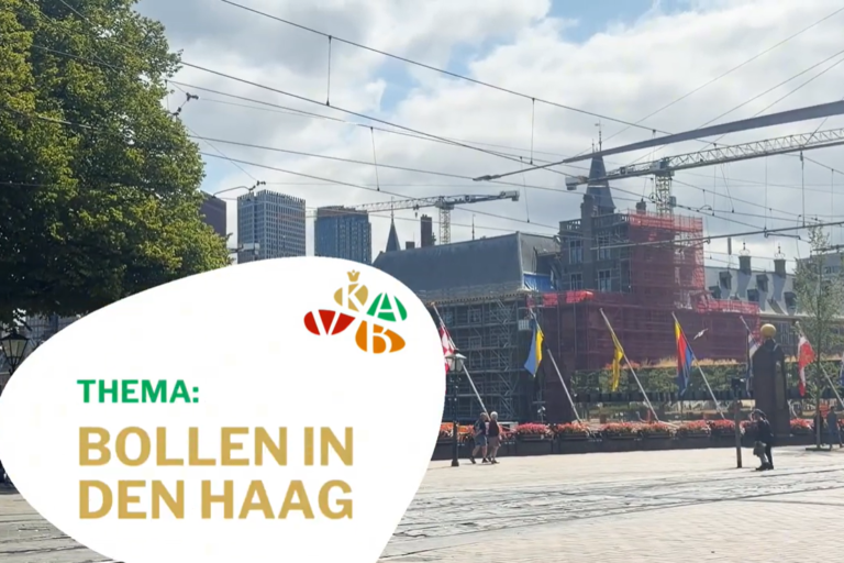 Beeld voor nieuwsbericht website