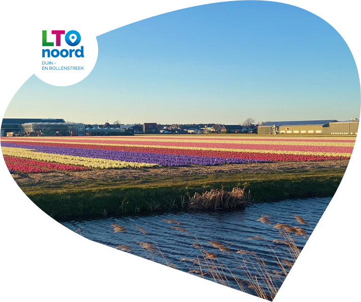 handhaving-duin-bollenstreek