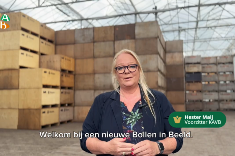 Beeld voor nieuwsbericht website